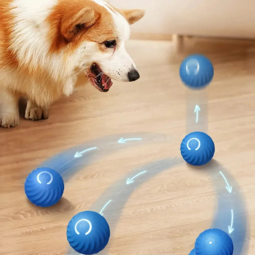 Bola Interativa Elétrica para Cães e Gatos - Recarregável USB-C, Movimento Inteligente