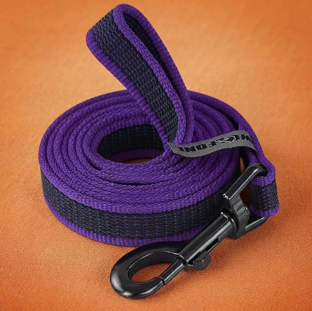 Guia de Treinamento para Cães Bicolor