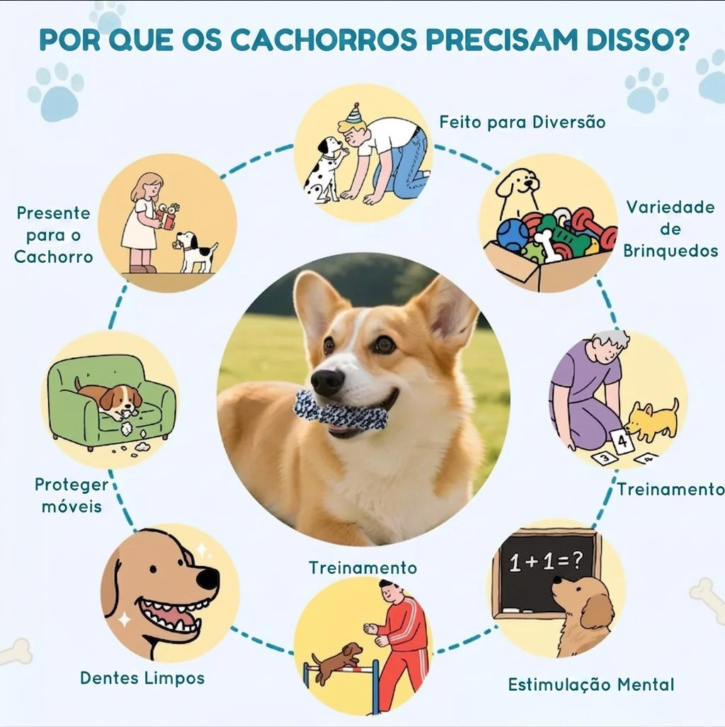 Kit de Brinquedos Interativos para Cães - 6 ou 10 Peças, com Som, Corda e Mordedores