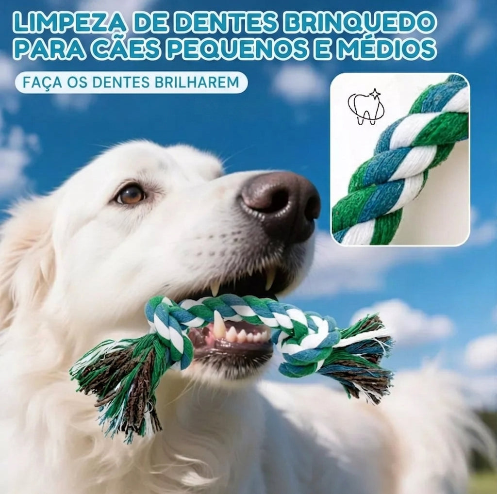Kit de Brinquedos Interativos para Cães - 6 ou 10 Peças, com Som, Corda e Mordedores