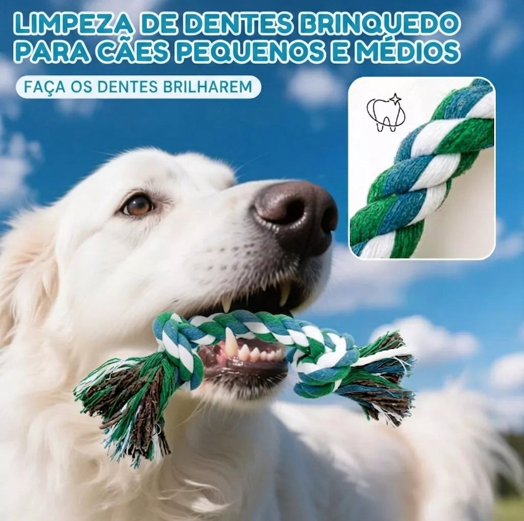 Kit de Brinquedos Interativos para Cães - 6 ou 10 Peças, com Som, Corda e Mordedores