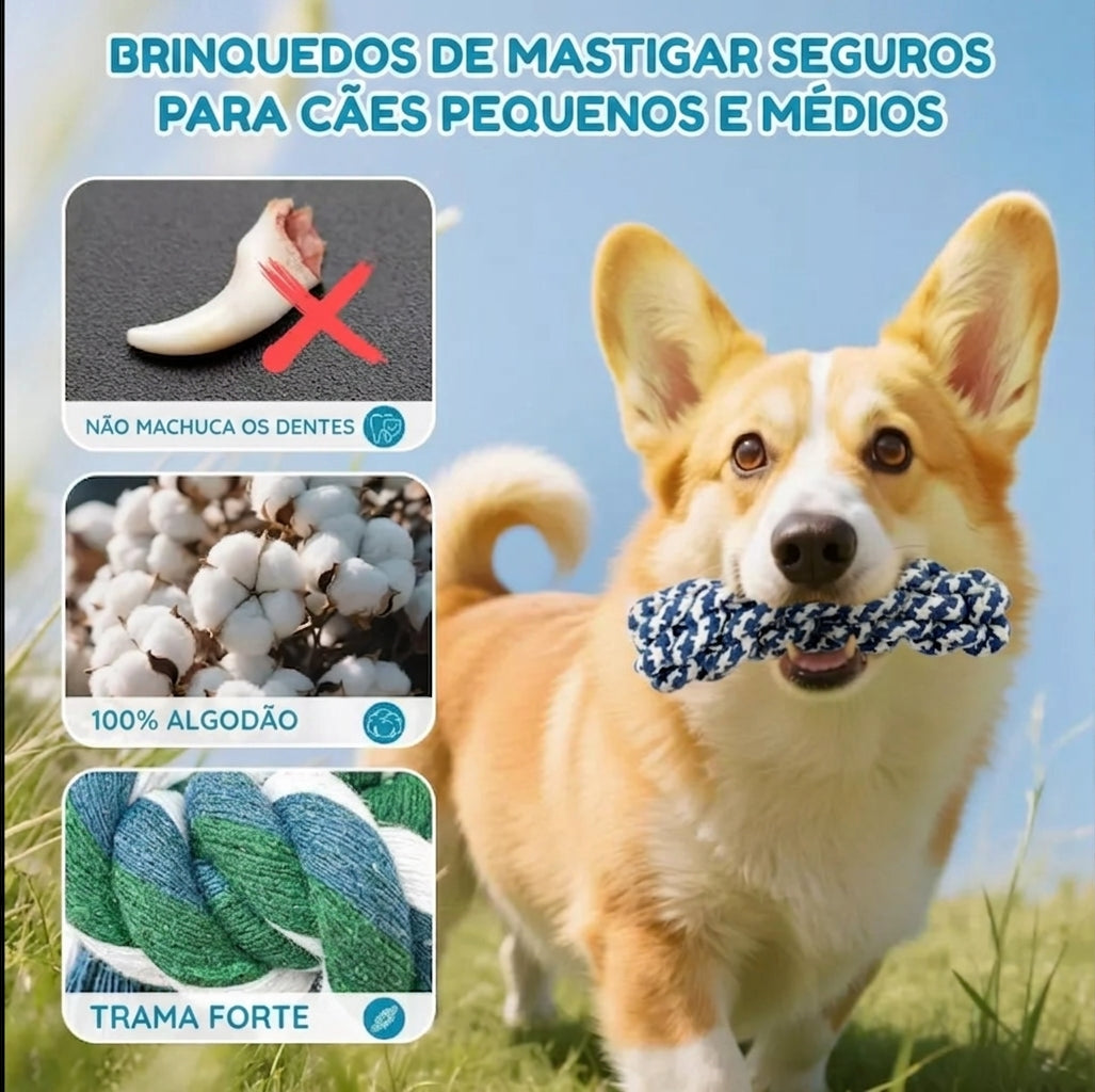 Kit de Brinquedos Interativos para Cães - 6 ou 10 Peças, com Som, Corda e Mordedores