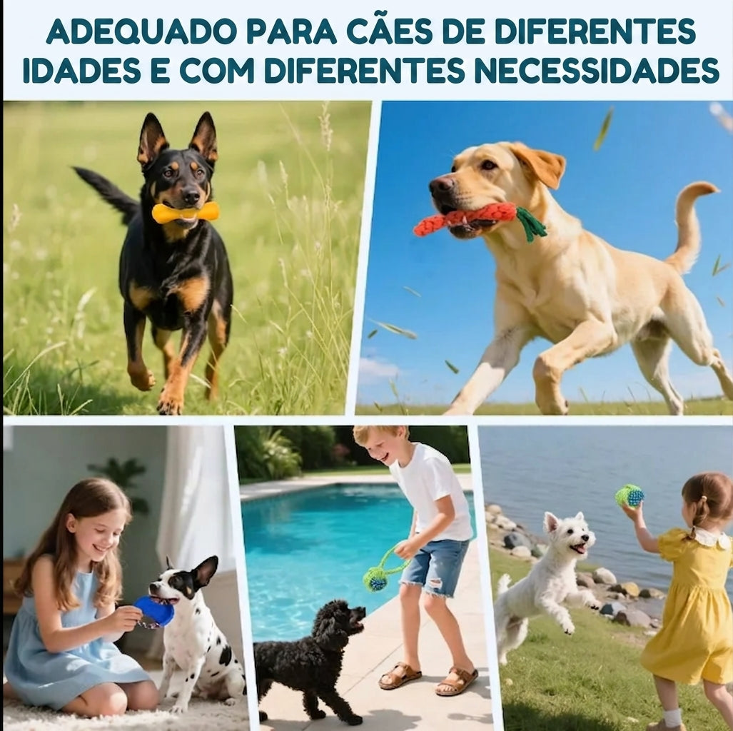 Kit de Brinquedos Interativos para Cães - 6 ou 10 Peças, com Som, Corda e Mordedores