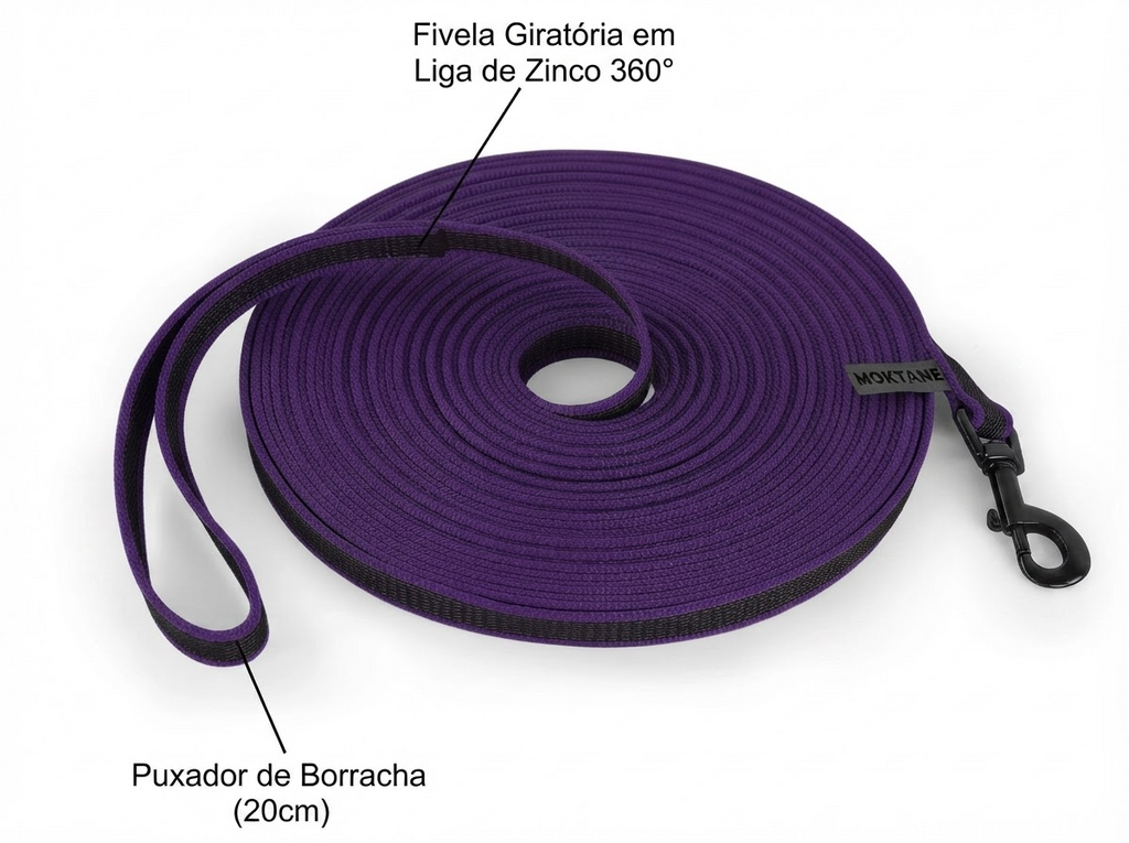 Guia de Treinamento para Cães Bicolor