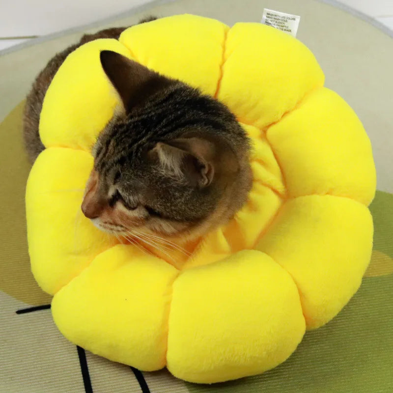 Colarinho Protetor Elizabetano para Gatos e Cães
