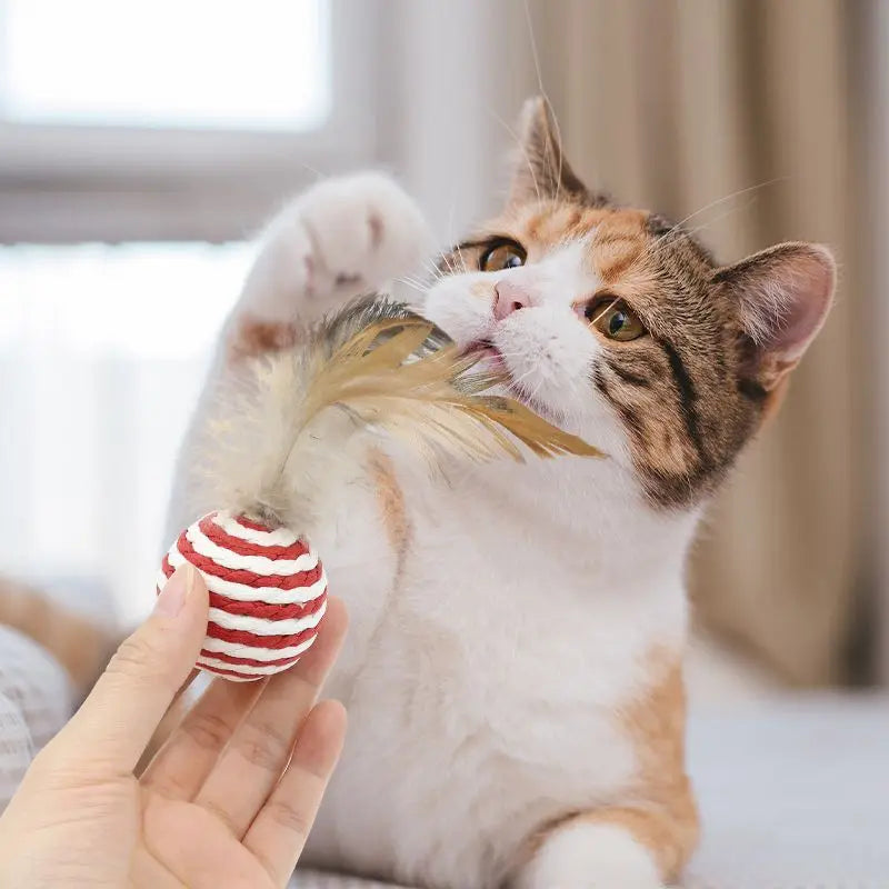 Kit de Bolinhas de Sisal com Penas para Gatos