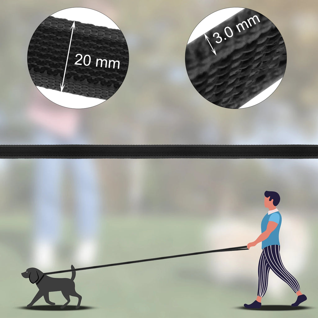 Guia de Treinamento para Cães Bicolor