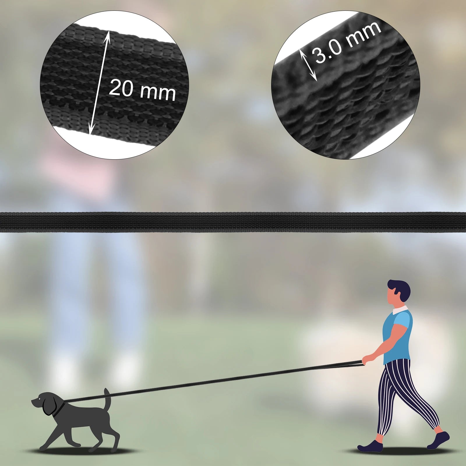 Guia de Treinamento para Cães Bicolor