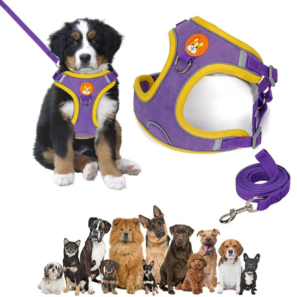 Coleira Peitoral Ajustável Para Cães Gatos, Passeio Confortável, Material Nylon Ergonômico Seguro