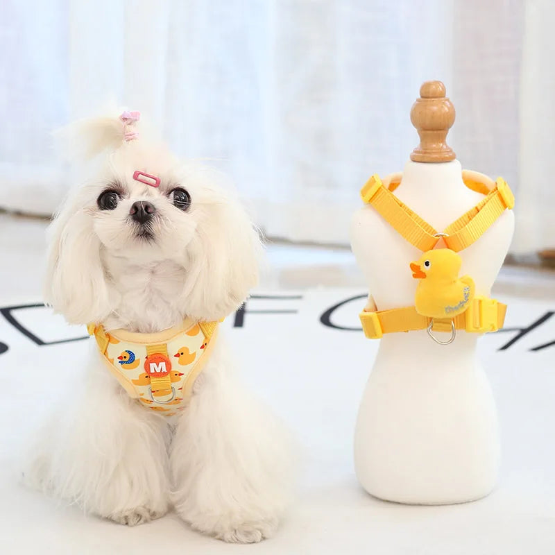 Kit Peitoral e Guia para Cães Pequenos e Médios
