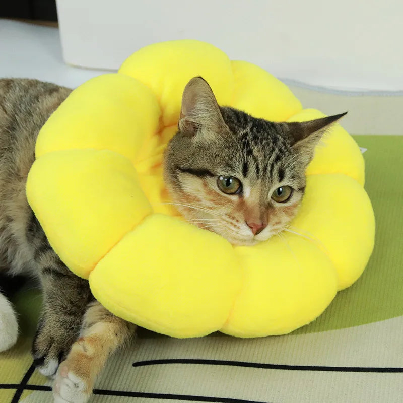 Colarinho Protetor Elizabetano para Gatos e Cães