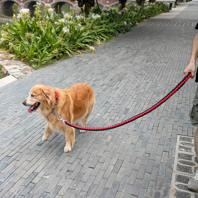 Guia de Nylon Trançada para Cães
