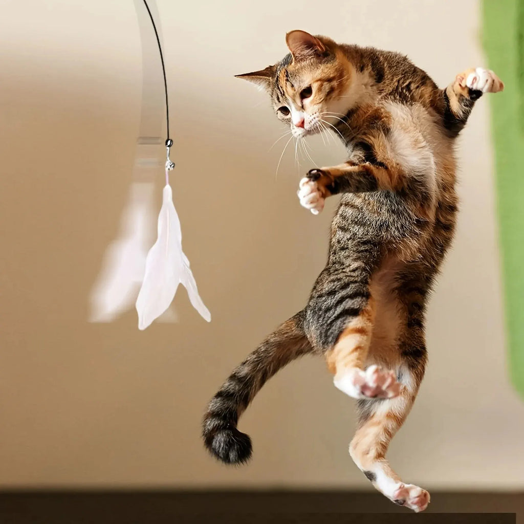 Brinquedo com Pena para Gatos - Estimula o Instinto de Caça