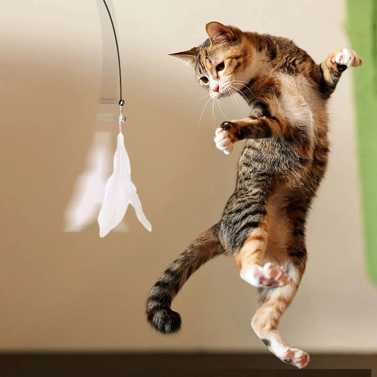 Brinquedo com Pena para Gatos - Estimula o Instinto de Caça