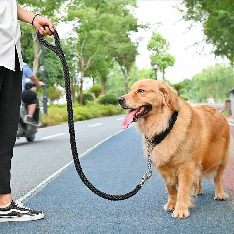 Guia de Nylon Trançada para Cães