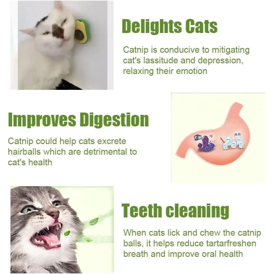 Brinquedo com Catnip para Gatos - Formato Abacate, Fixação com Adesivo