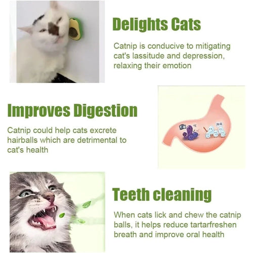 Brinquedo com Catnip para Gatos - Formato Abacate, Fixação com Adesivo