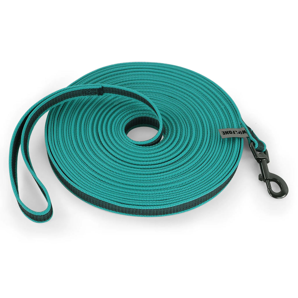 Guia de Treinamento para Cães Bicolor