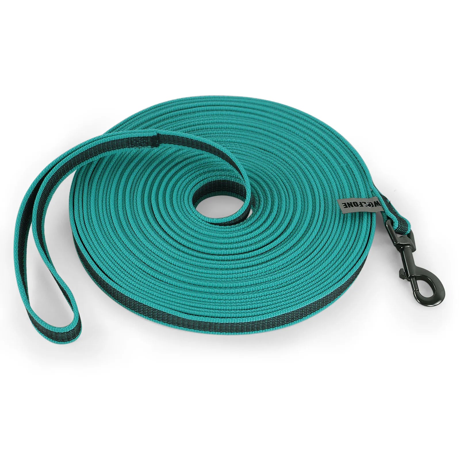 Guia de Treinamento para Cães Bicolor