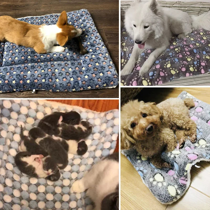 Tapete de Pelúcia para Cães e Gatos