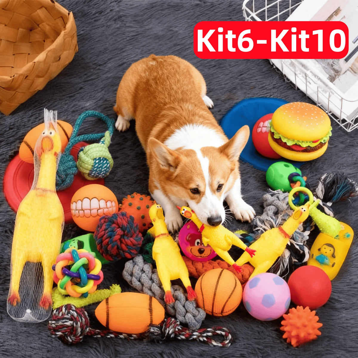 Kit de Brinquedos Interativos para Cães - 6 ou 10 Peças, com Som, Corda e Mordedores