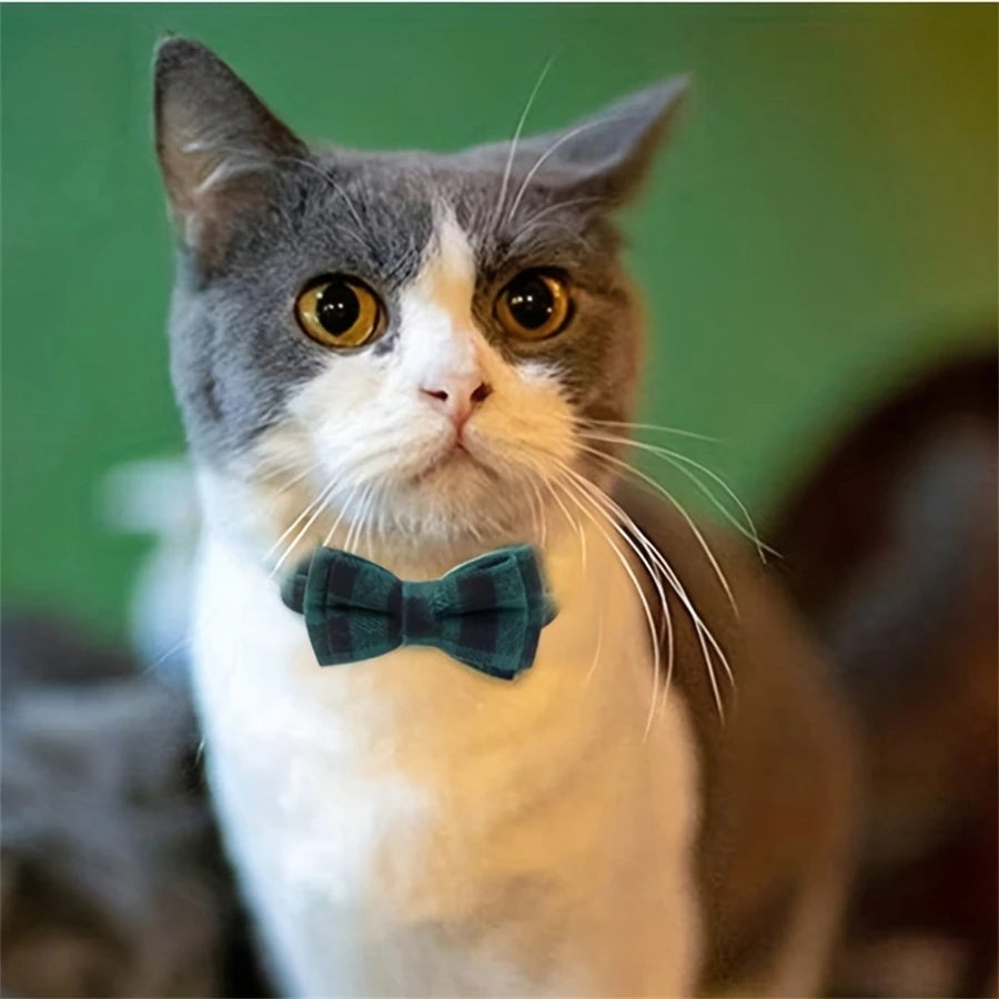 Coleira Xadrez com Gravata Borboleta para Cães e Gatos
