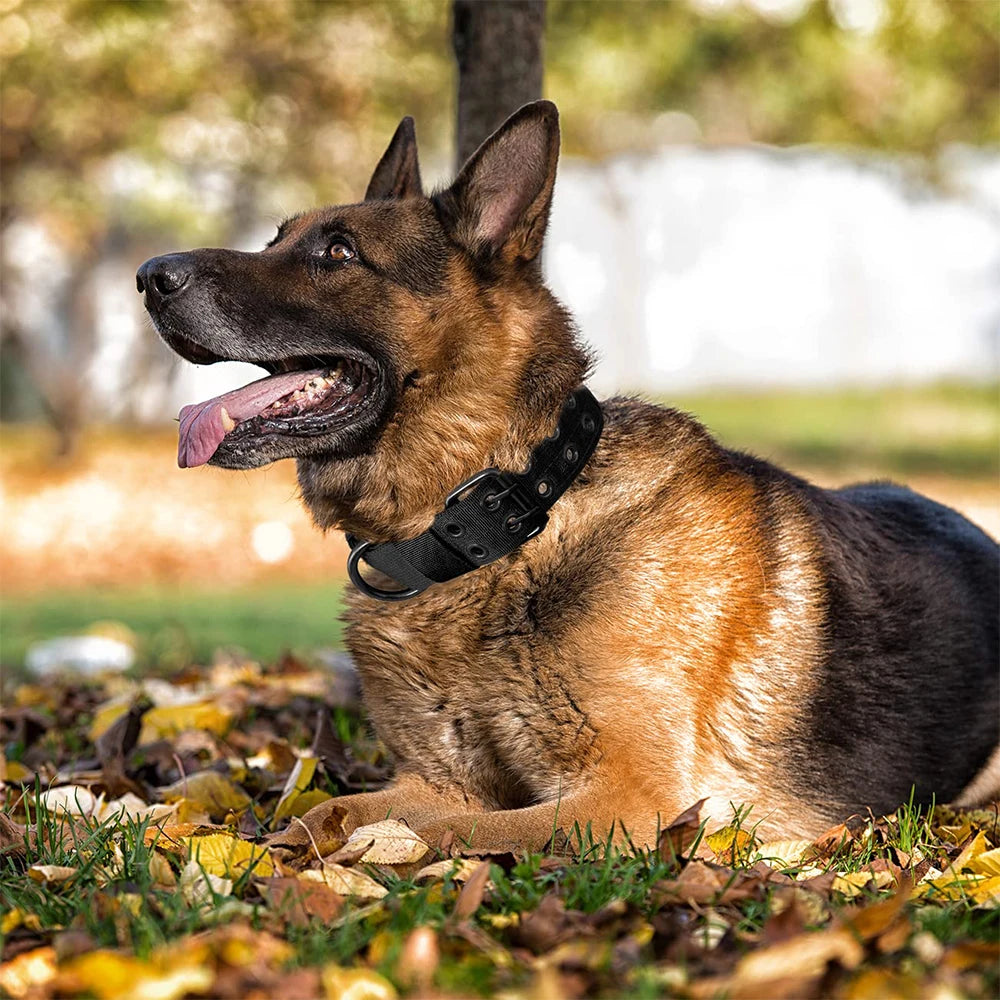 Coleira Tática Militar para Cães