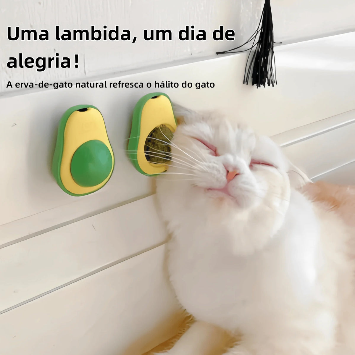 Brinquedo com Catnip para Gatos - Formato Abacate, Fixação com Adesivo