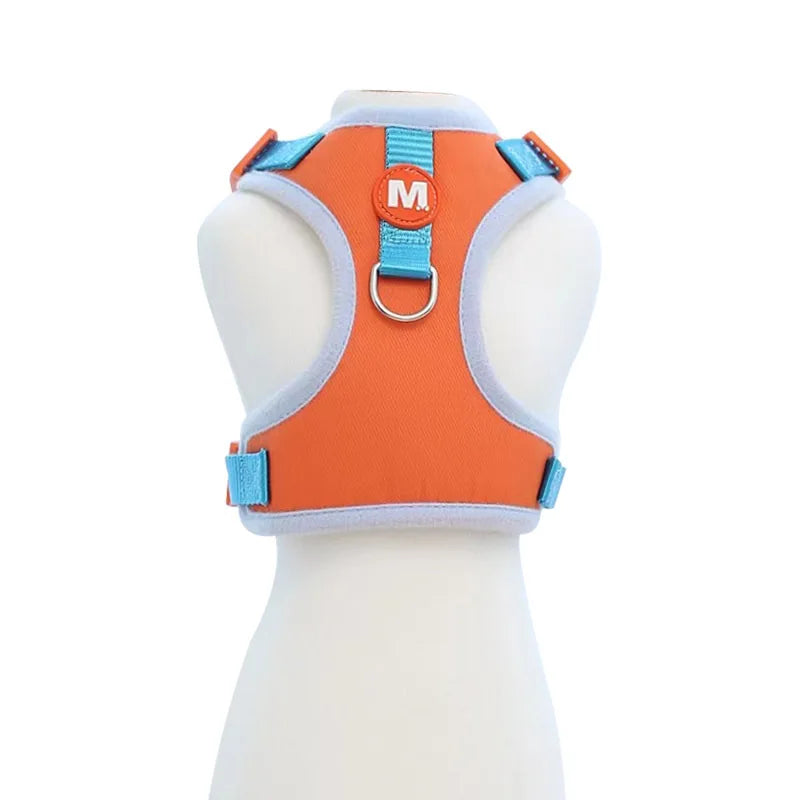 Kit Peitoral e Guia para Cães Pequenos e Médios
