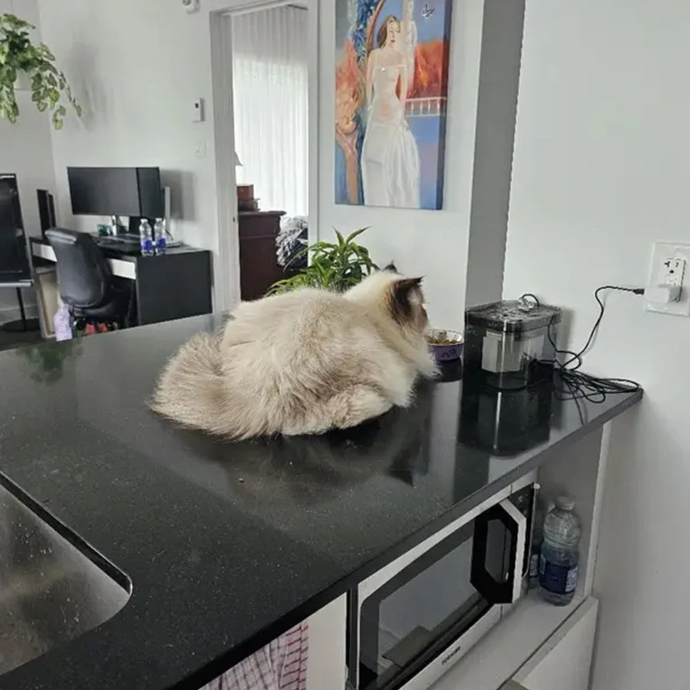 Fonte de Água Automática para Pets